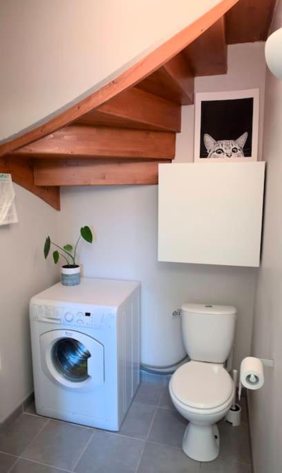 Maison Calme Avec Jardin Proche De Tuluza Zewnętrze zdjęcie
