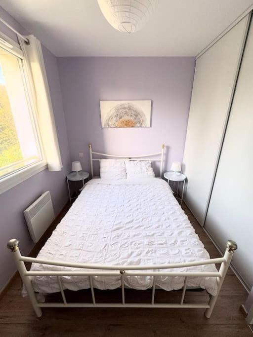Maison Calme Avec Jardin Proche De Tuluza Zewnętrze zdjęcie